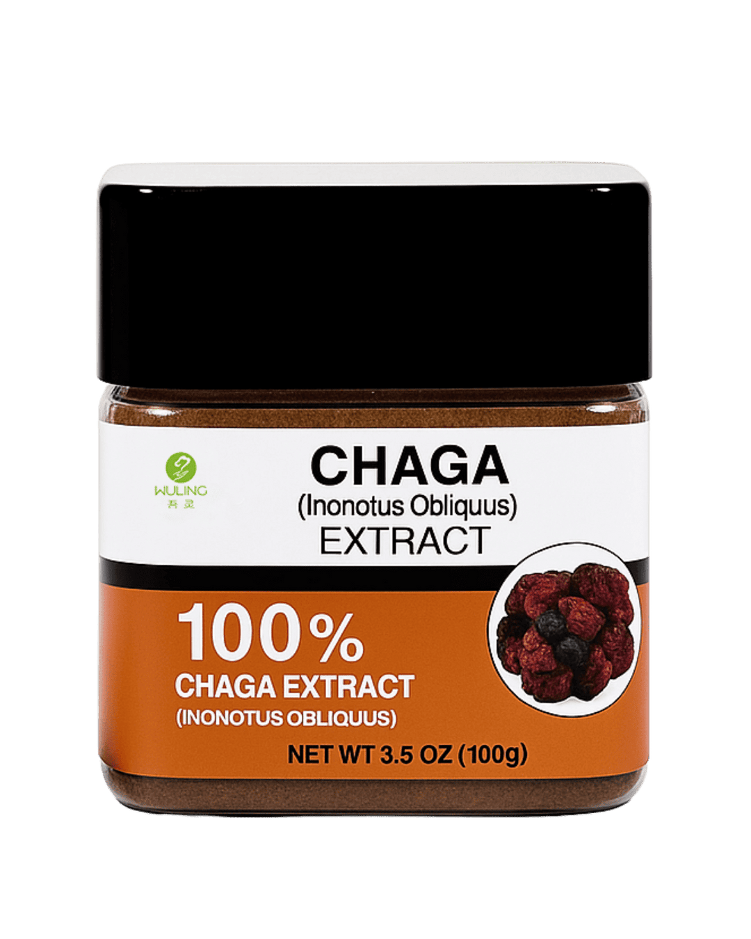 100% Natural Chaga Extract Powder