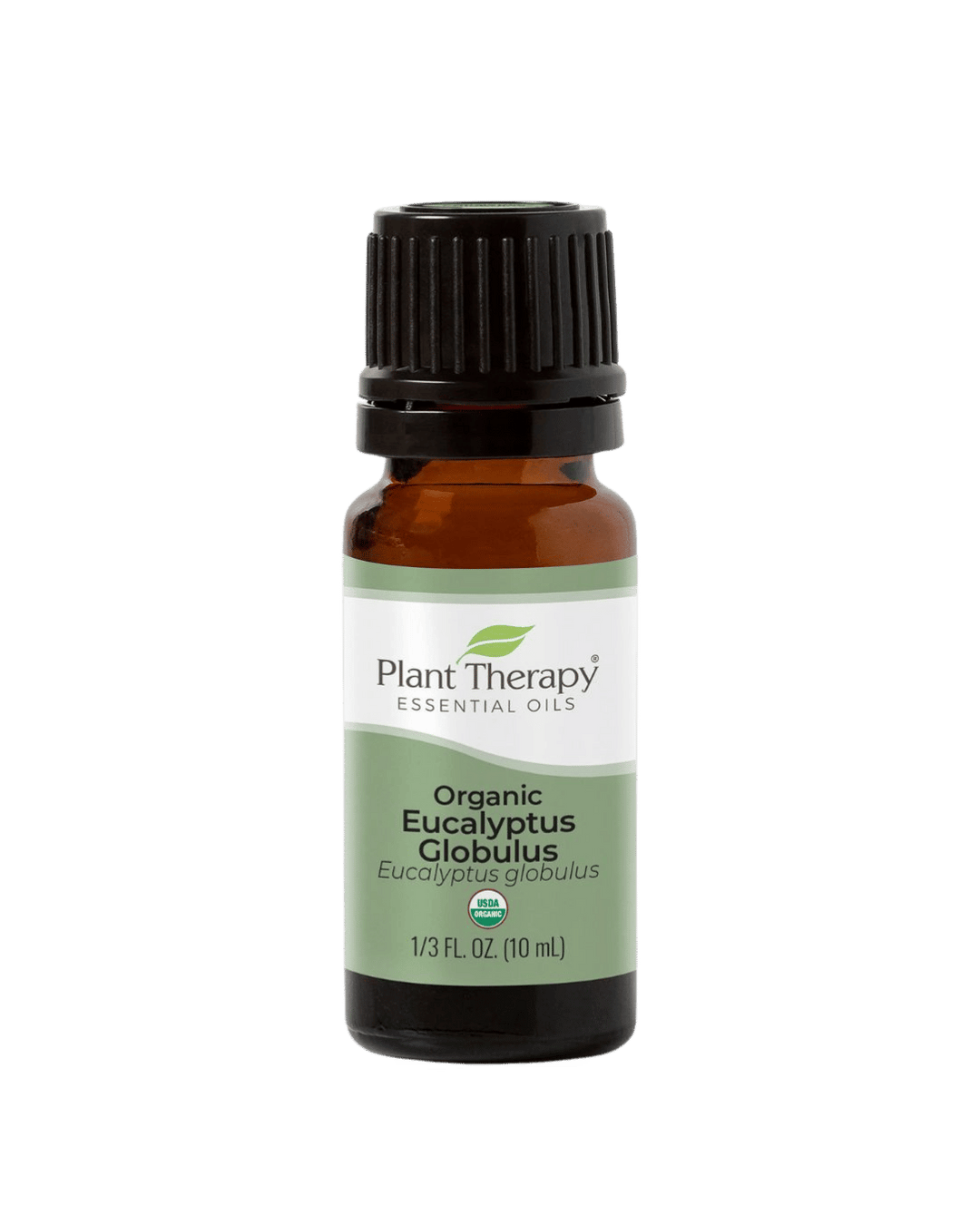 Organic Eucalyptus Globulus Essential Oil, Plant Therapy, Ayurveda Store NZ