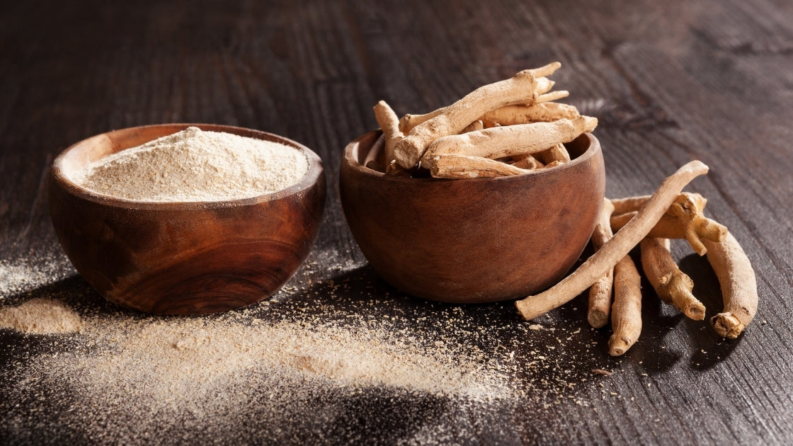 Ashwagandha – The Ancient Stress Buster