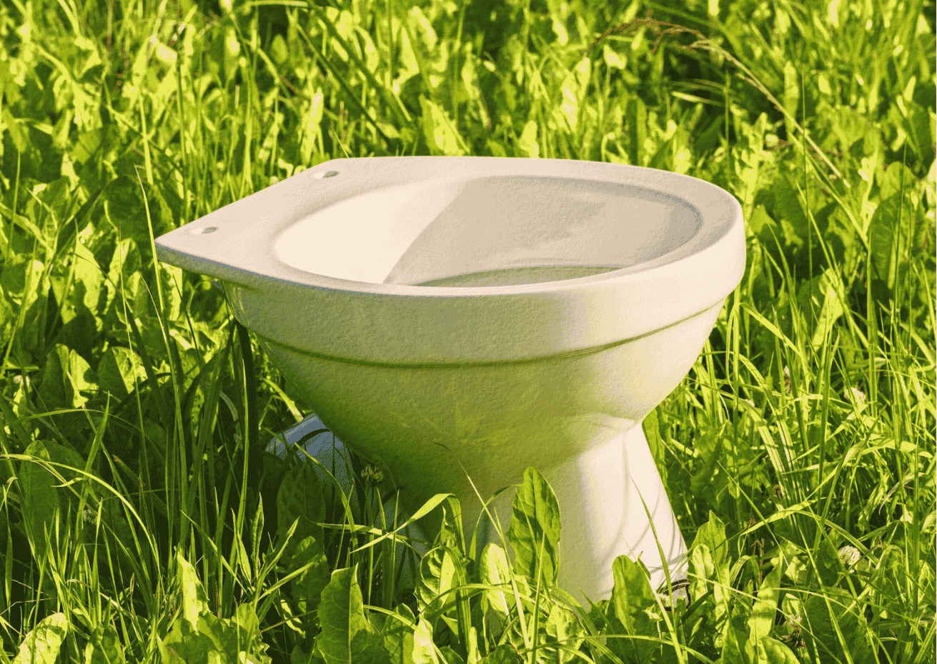 Natural Remedies for Constipation: An Ayurvedic Guide to Getting Things Moving