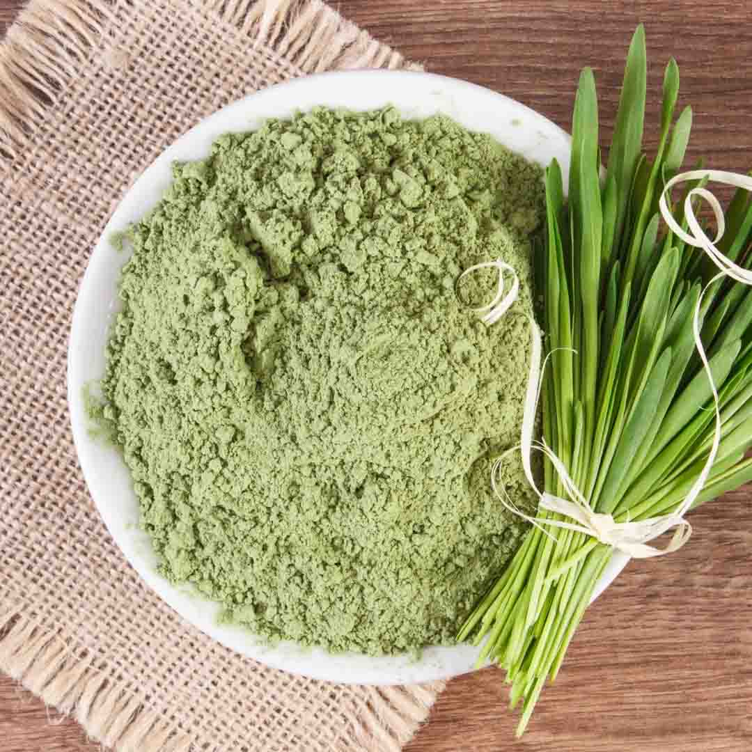 Organic Barley Grass Powder (Hordeum vulgare) - 227 g