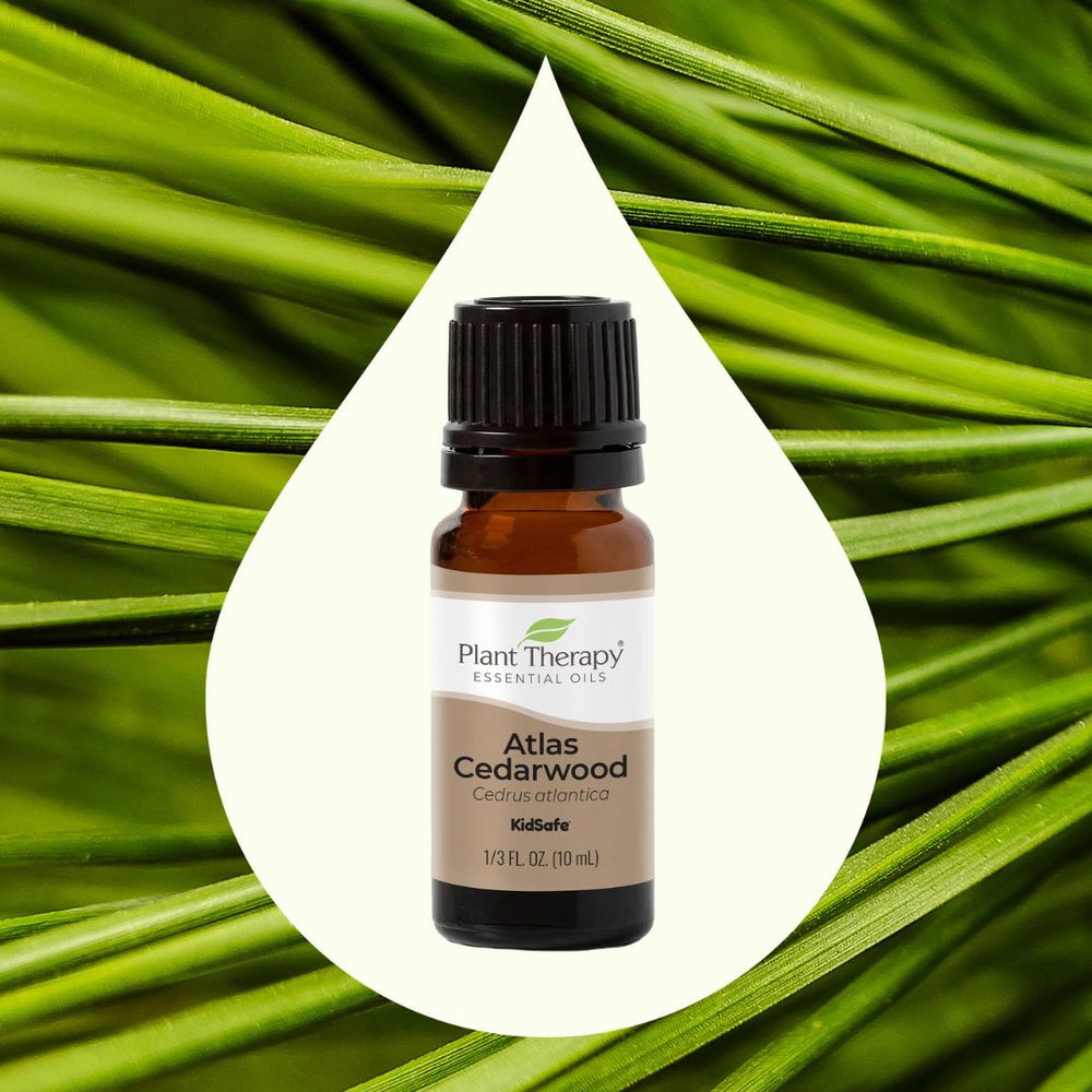 Organic Atlas Cedarwood Essential Oil, Plant Therapy, Ayurveda Store NZ