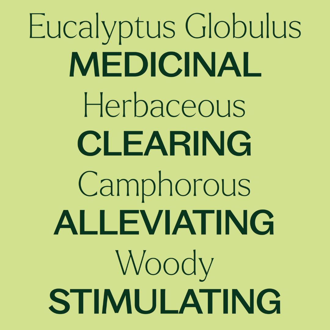 Organic Eucalyptus Globulus Essential Oil, Plant Therapy, Ayurveda Store NZ