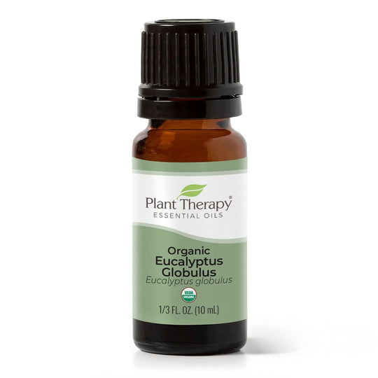 Organic Eucalyptus Globulus Essential Oil, Plant Therapy, Ayurveda Store NZ