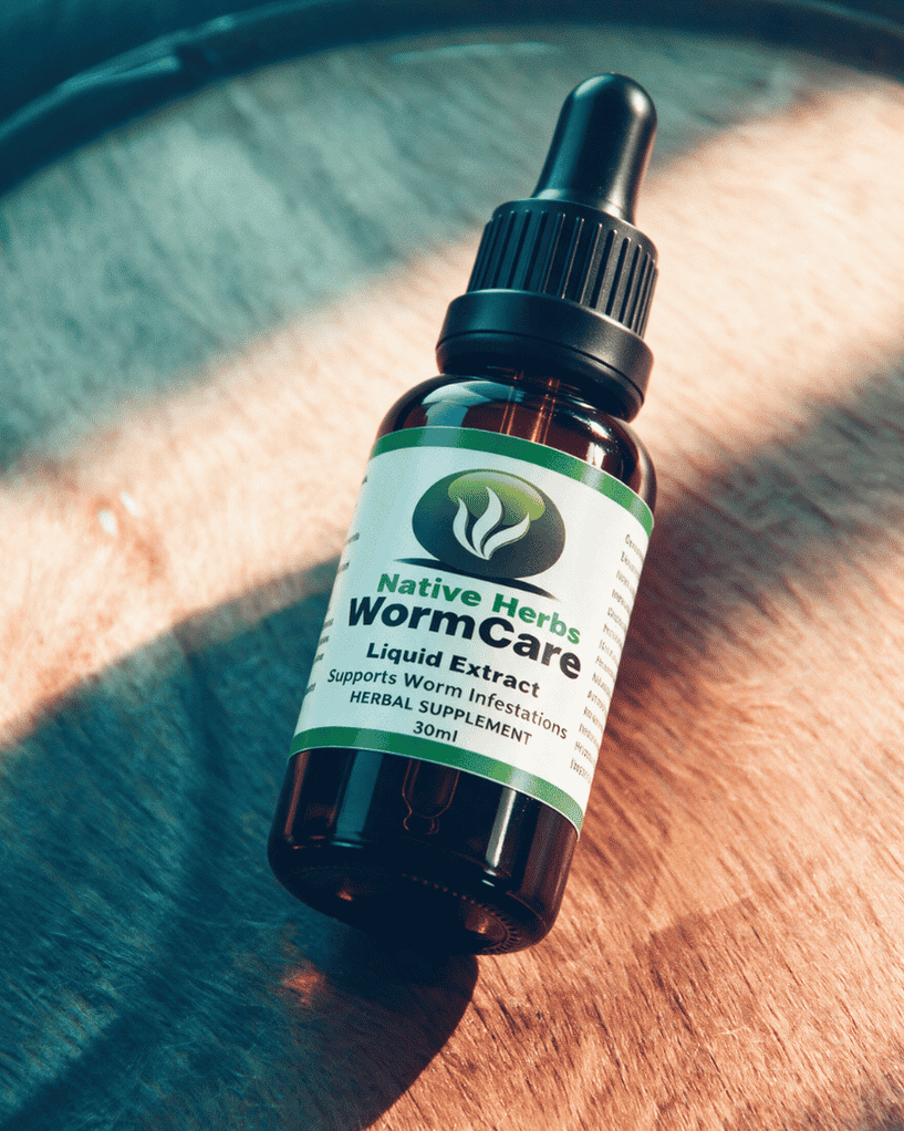 WormCare – Worm Infestations 30ml