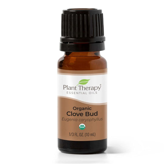 Organic Clove Bud Essential Oil, Plant Therapy, Ayurveda Store NZ