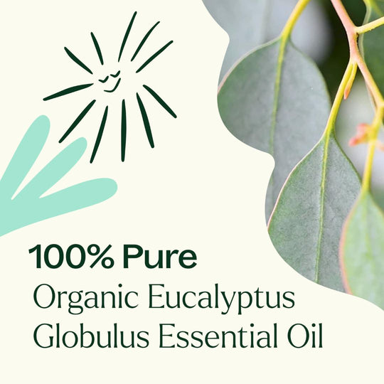 Organic Eucalyptus Globulus Essential Oil, Plant Therapy, Ayurveda Store NZ