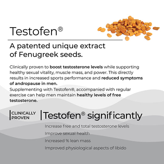 Testo Power, Melts, Wellbeing Nutrition, Ayurveda Store NZ, Ginkgo Biloba, Saffron, Himalayan Shilajit, Testofen