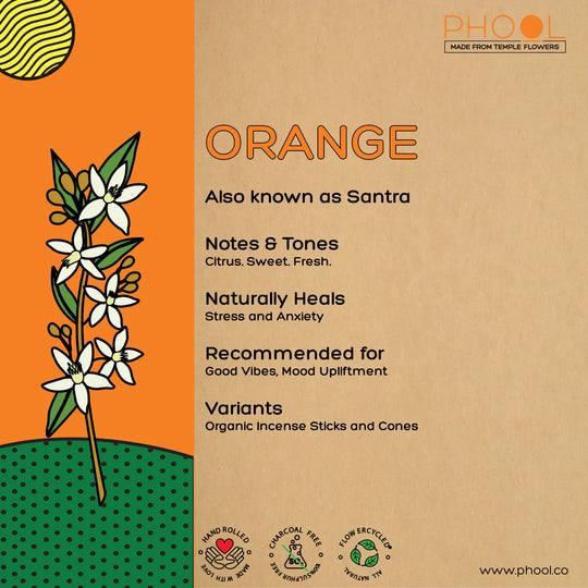 Orange - Natural Incense Cones by Phool